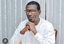 NOUVEAU GOUVERNEMENT : Mary Teuw Niane nommé ministre directeur de cabinet du Président Diomaye Faye