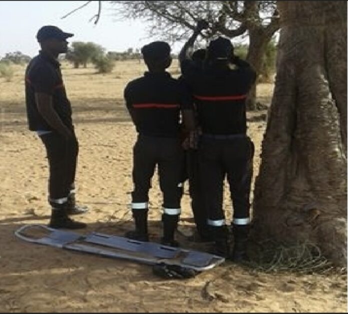 67529EFF-659D-44A1-8B35-640F502DF78D