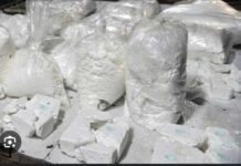 TAMBACOUNDA : Plus de 1000 kg de cocaïne saisis !
