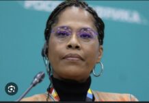 FAIBLE PRÉSENCE DES FEMMES DANS LE GOUVERNEMENT : Nathalie Yamb défend Sonko et Diomaye