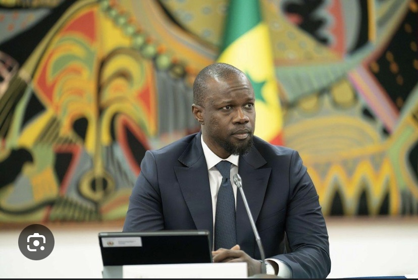 TRAFIC DE BOIS ET DÉFORESTATION : Ousmane Sonko réunira des ministères pour sévir