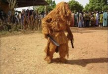 GOUDOMP : Un kankourang mortellement fauché par un véhicule de la gendarmerie