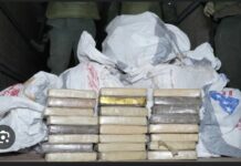 NDAYANE : La brigade de Popenguine saisit 320kg de cocaïne