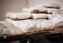 TRAFIC DE DROGUE : 108,7 kg de cocaïne saisis à Kalifourou (Kolda)