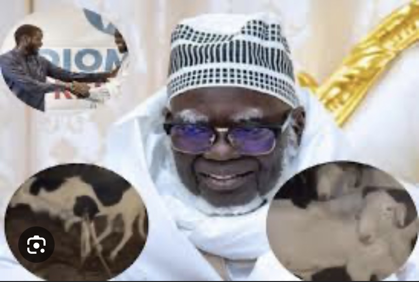 TABASKI : Serigne Mountakha offre quatre (4) béliers à Diomaye et à Sonko