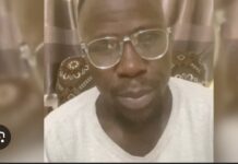 JUSTICE : Retour de parquet pour Alassane Fall de Pastef