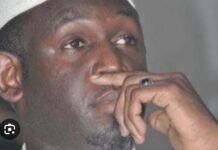SECTION DE RECHERCHES : Adama Faye, le frère de Marième Faye Sall placé en garde à vue
