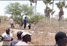DÉCOUVERTE MACABRE À TIVAOUNE : Un corps partiellement calciné retrouvé dans la brousse