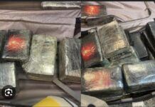 AIBD : Une Française interpellée avec 40 kg de cocaïne