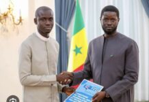 PRESSE : Les jeunes reporters reçus par le Président Diomaye Faye