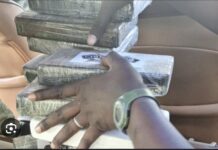 TRAFIC DE DROGUE : 365 kg de cocaïne saisis par la Douane à Koumpemtoum