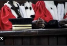 CONSEIL SUPÉRIEUR DE LA MAGISTRATURE : Le Président Diomaye désigne Mamadou Diop au poste de secrétaire général