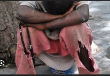 LOUGA : Un talibé poignarde son maître coranique et se réfugie à la gendarmerie