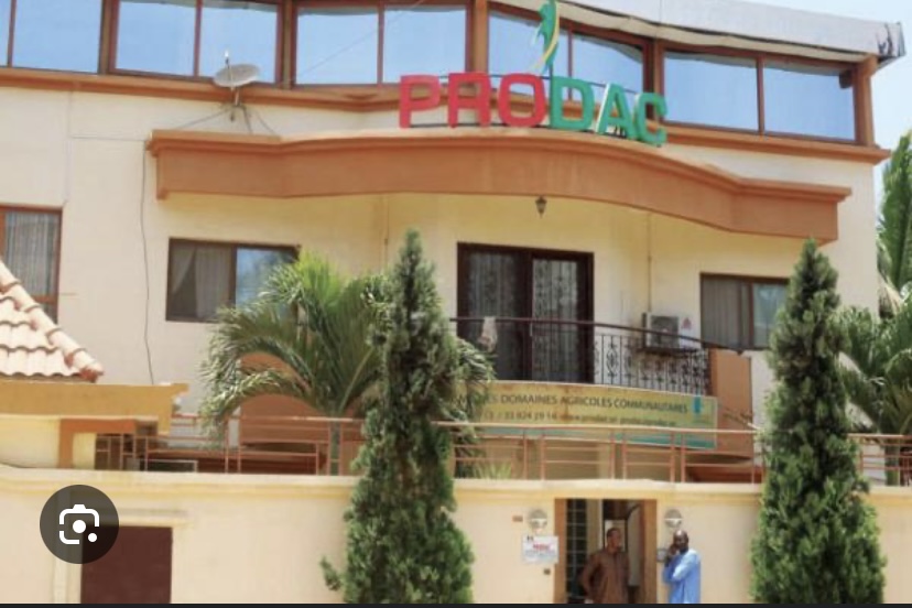 PRODAC : Cheikh Ahmadou Bamba Ngom remplace Djimo Souaré