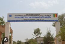 CAMES 2024 : L’Université Alioune Diop de Bambey brille avec 82,35% de réussite