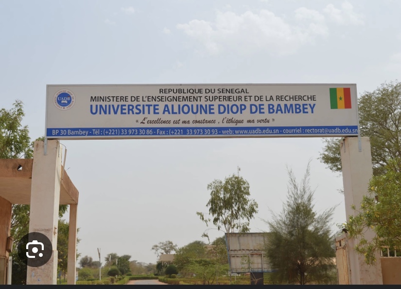 CAMES 2024 : L’Université Alioune Diop de Bambey brille avec 82,35% de réussite