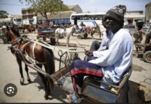 DAKAR : Interdiction de la circulation des «charrettes » dans le département à partir de ce lundi
