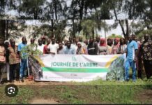 JOURNÉE NATIONALE DE L’ARBRE : Touba abrite l’édition 2024
