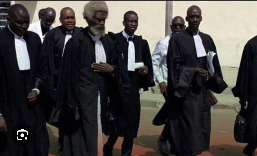 JUSTICE : Les avocats d’Ousmane Sonko annonce une plainte contre Madiambal Diagne
