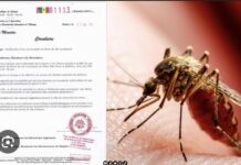 KAFFRINE : Un cas humain de fièvre du NIL détecté chez une jeune fille de 18 ans