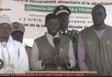 41e ÉDITION DE LA JOURNÉE INTERNATIONALE DE L’ARBRE : Le Chef de l’État félicite l’engagement de « Touba Ca Kanam »