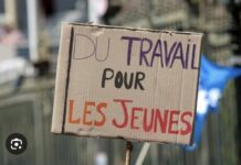 CHÔMAGE ET EMPLOI : L’ANSD publie son rapport du second trimestre
