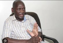 CNRA : Mamadou Oumar Ndiaye remplace Babacar Diagne