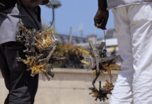 Modou-Modou : Des vendeurs sénégalais à la sauvette de tours Eiffel miniatures, exploités par un réseau de trafiquants, démantelés par la police parisienne