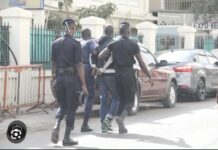 OPÉRATION DE SÉCURISATION À DAKAR : Plus 400 individus interpellés pour divers délits