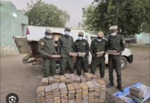 TRAFIC INTERNATIONAL DE DROGUES : Plus de 200 kg de cocaïne saisis par la Douane de Koungheul