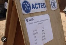 LES BIDASSES DE NIAMEY CHASSENT UNE ONG FRANÇAISE