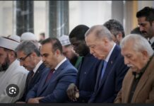 EN VISITE EN TURQUIE : Le Président Diomaye a prié ce vendredi avec Erdogan