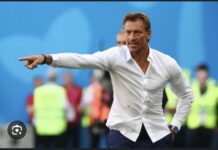 COACH HERVÉ RENARD: J’ai dit non au Sénégal parce que…
