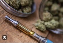 TRAFIC DE E-CANNABIS AU SÉNÉGAL: L’Octris démantèle un vaste réseau
