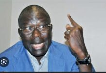 BABACAR GAYE SUR L’ADOPTION DES DEUX PROJETS DE LOI DE CE MARDI: « Le Président et son gouvernement se sont tirés une balle dans le pied »