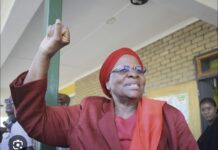 NAMIBIE: Netumbo Nandi-Ndaitwah devient la première femme Présidente à 72 ans