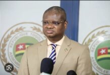 ONU: Aliou Mamadou Dia nommé représentant du PNUD au Liberia