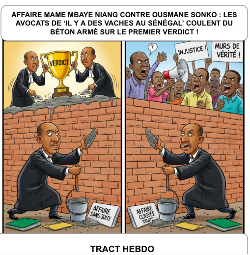 2 Mame Mbaye Niang contre Sonko dessin final
