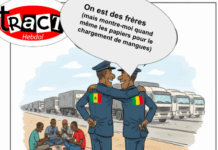 Sénégal-Mali : On s’adore, on se dispute, mais on finit toujours par partager le même bus