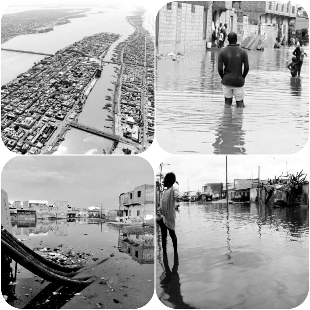 20260724_212725-COLLAGE