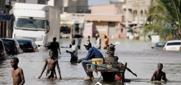 [EXPRESS-INTERVIEW] EL HADJI DAOUDA MBAYE, COORDONNATEUR DU COLIGEP « Keur Massar illustre les conséquences d’une urbanisation rapide…’’   