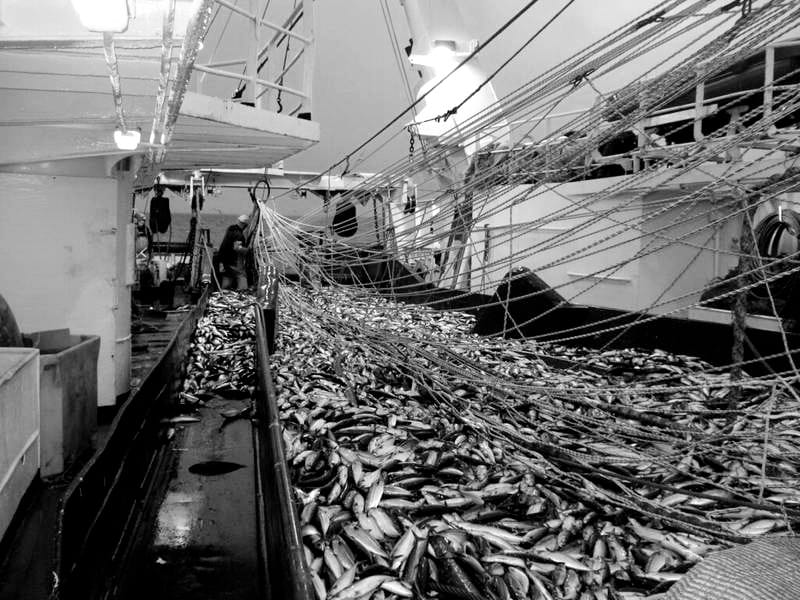 [FOCUS] CONTRAT DE PÊCHE EN AFRIQUE : Bradage de ses océans contre du poisson en plastique pour se nourrir (Par Souleymane Ndiaye)