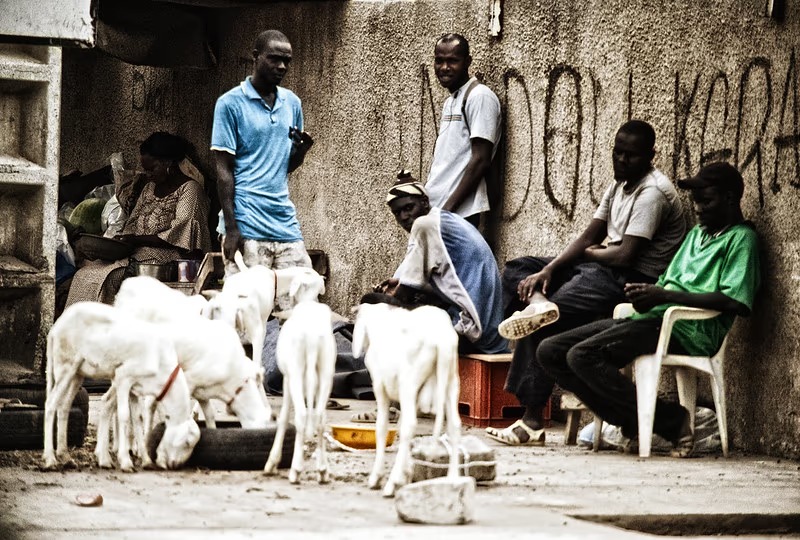 [FOCUS] SENEGAL/EMPLOI DES JEUNES : Malgré un marché du travail plus actif, le chômage remonte au premier trimestre  (RTS)