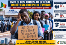 JEUNES DIPLÔMÉS : LE SÉNÉGAL PÉTROLIFÈRE A-T-IL UN PROBLÈME DE FORMATION OU UN PROBLÈME DE CRÉATION D’EMPLOIS ?