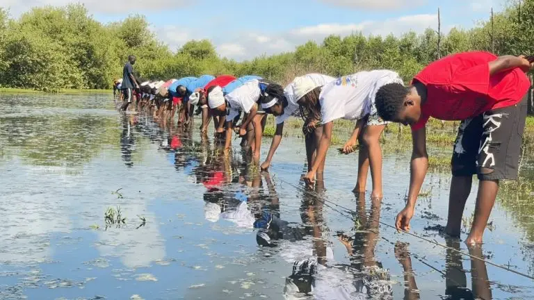 Ile-du-Diable-Sedhiou-Mangroves-768x432.jpeg
